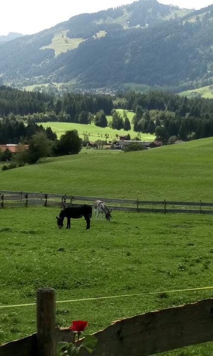 Berggasthof-Cafe Mayr